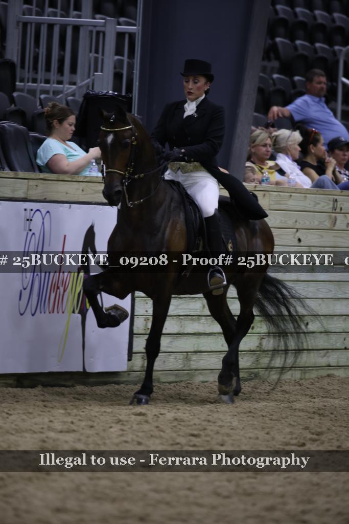Proof 25BUCKEYE_09208