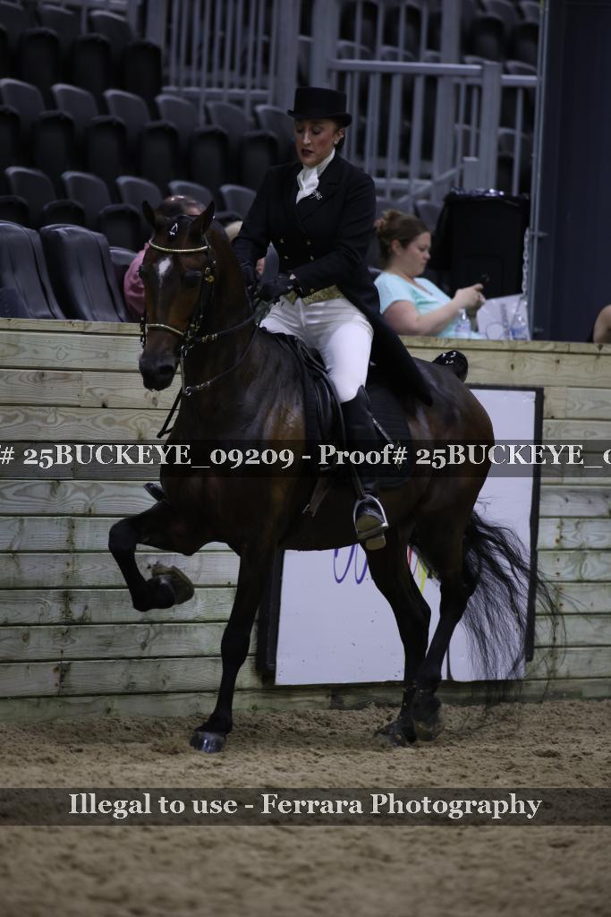 Proof 25BUCKEYE_09209
