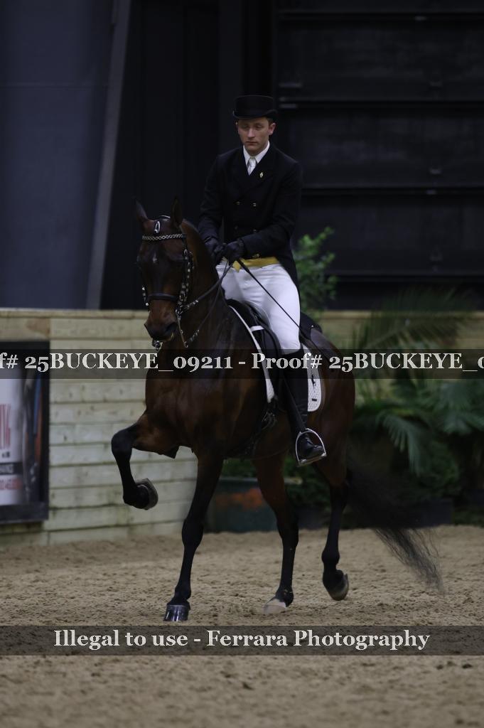 Proof 25BUCKEYE_09211