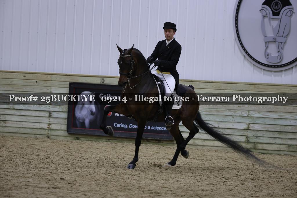 Proof 25BUCKEYE_09214
