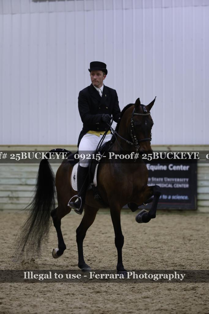 Proof 25BUCKEYE_09215