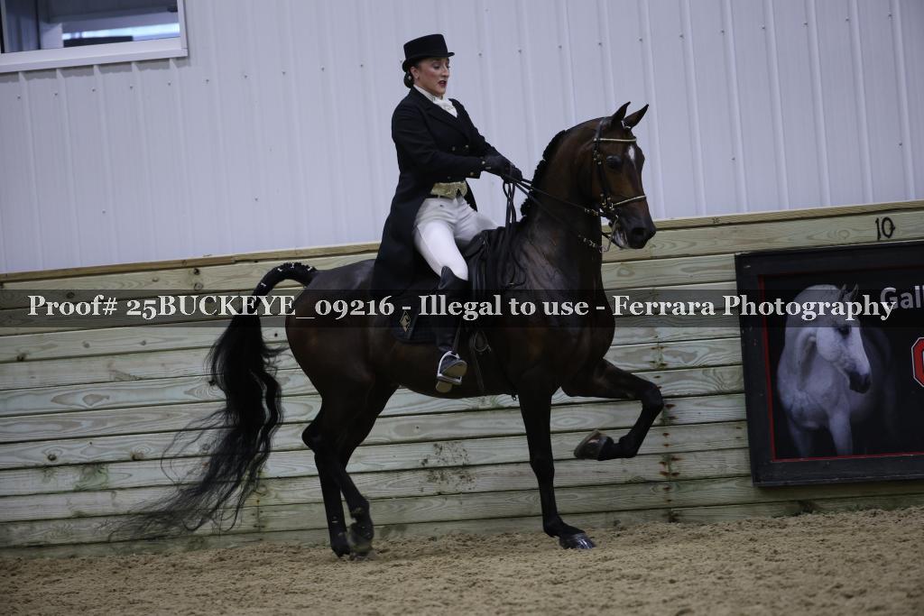 Proof 25BUCKEYE_09216