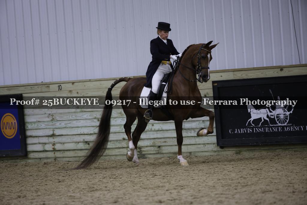 Proof 25BUCKEYE_09217