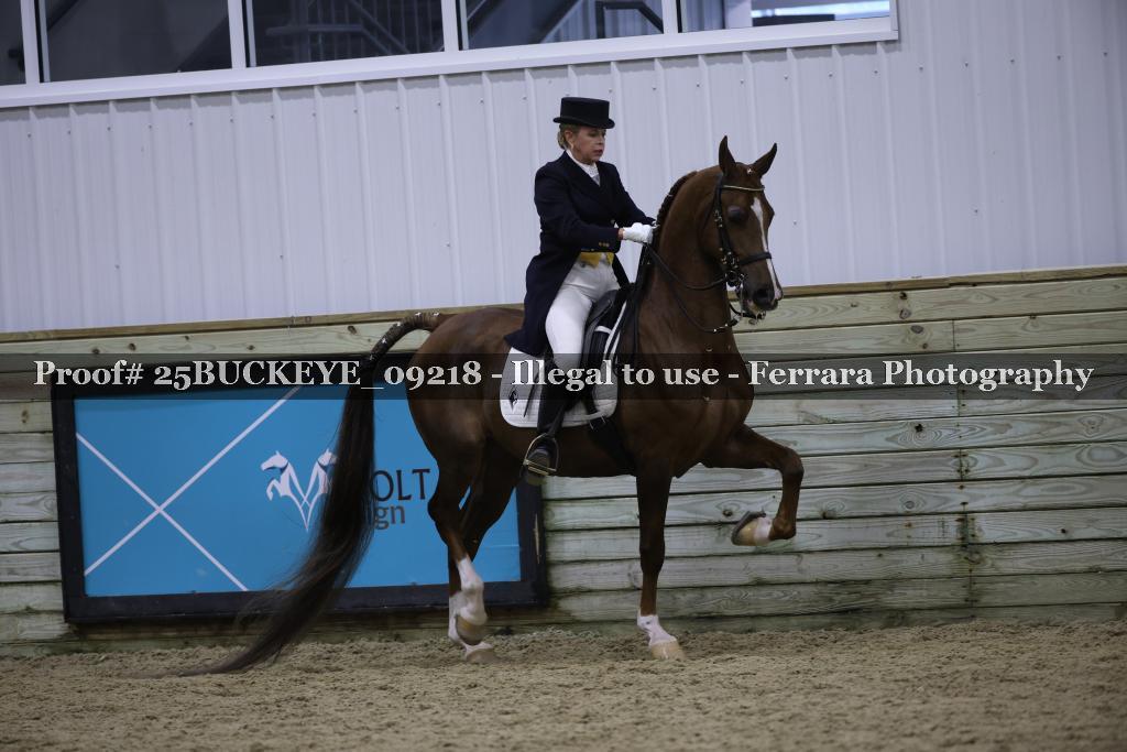 Proof 25BUCKEYE_09218