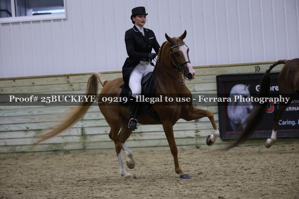 Proof 25BUCKEYE_09219