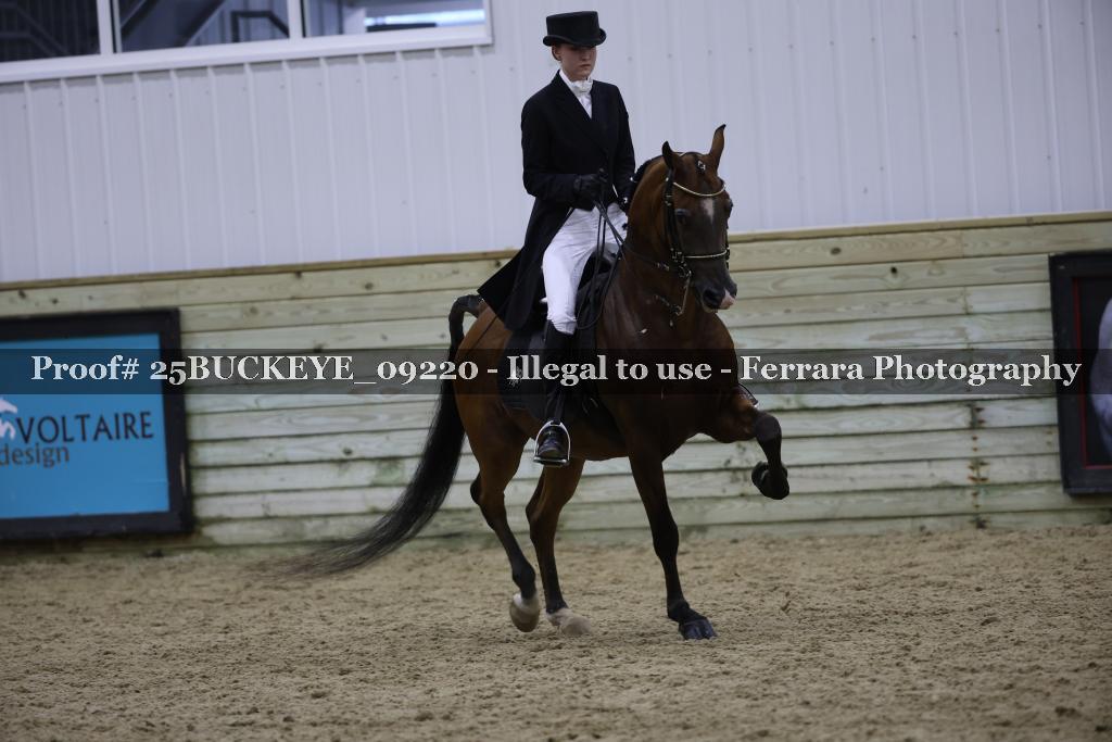 Proof 25BUCKEYE_09220