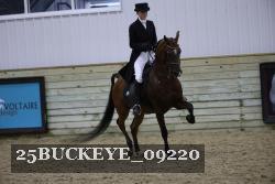 25BUCKEYE_09220 proof