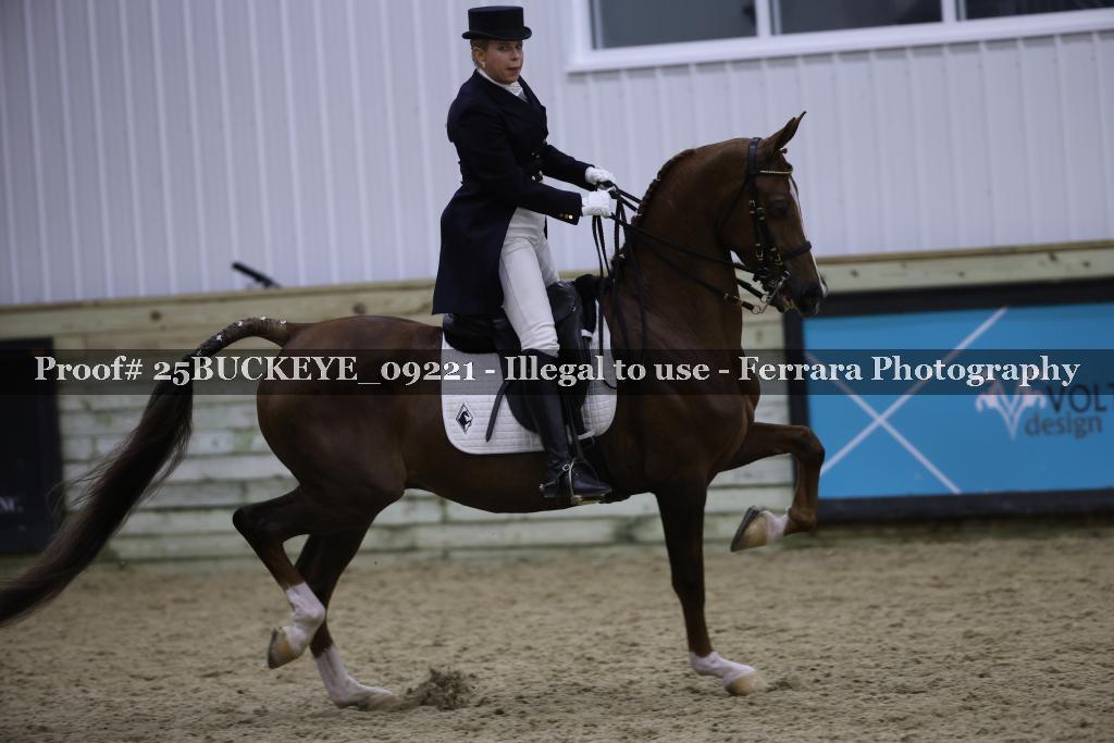 Proof 25BUCKEYE_09221