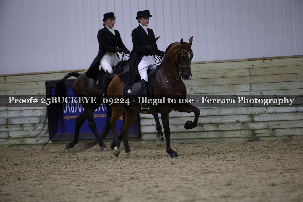 Proof 25BUCKEYE_09224