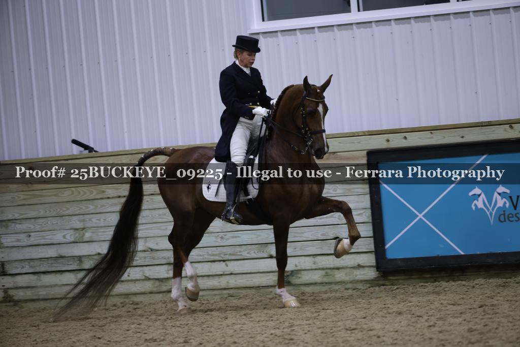 Proof 25BUCKEYE_09225