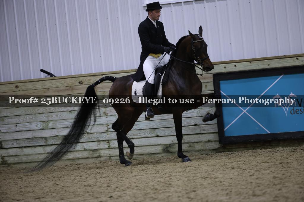 Proof 25BUCKEYE_09226