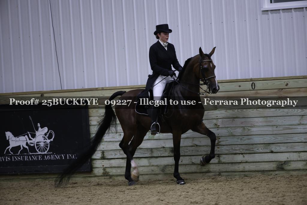Proof 25BUCKEYE_09227