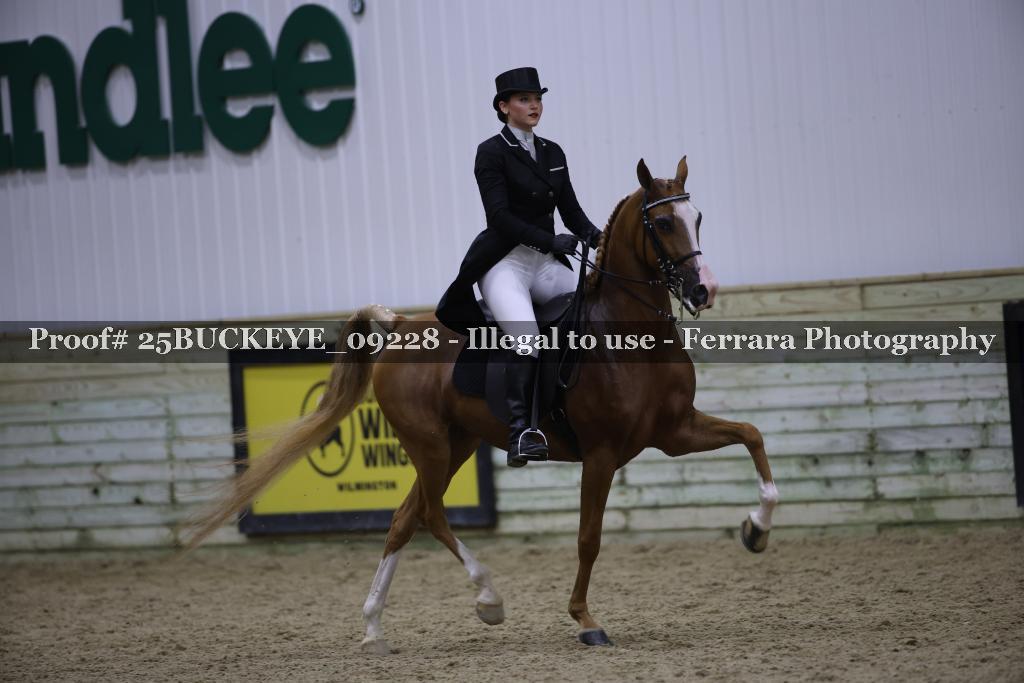 Proof 25BUCKEYE_09228