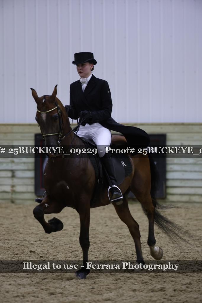 Proof 25BUCKEYE_09229