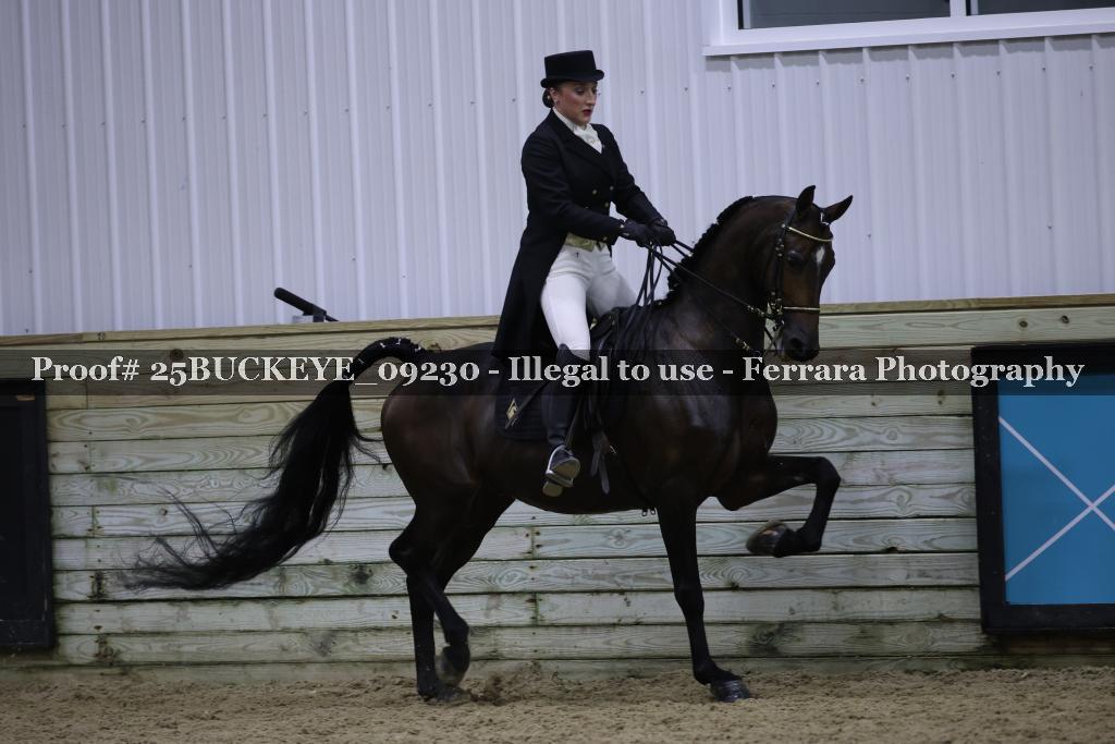 Proof 25BUCKEYE_09230