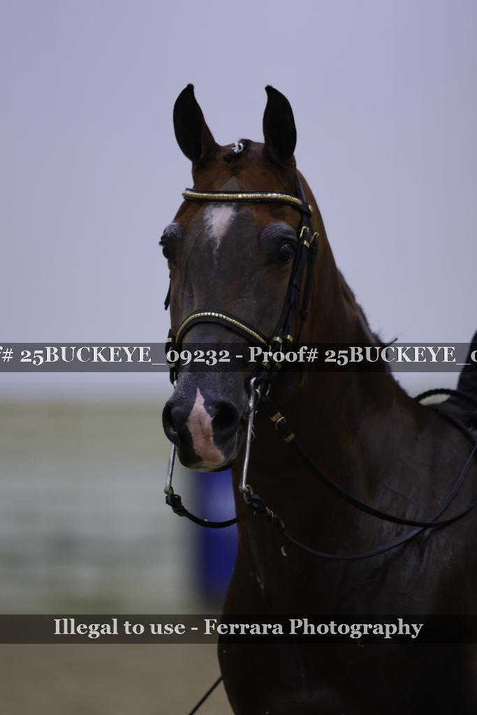 Proof 25BUCKEYE_09232