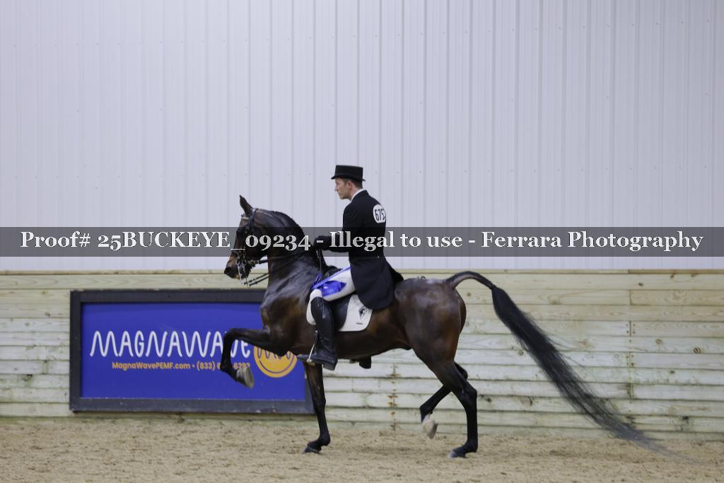 Proof 25BUCKEYE_09234