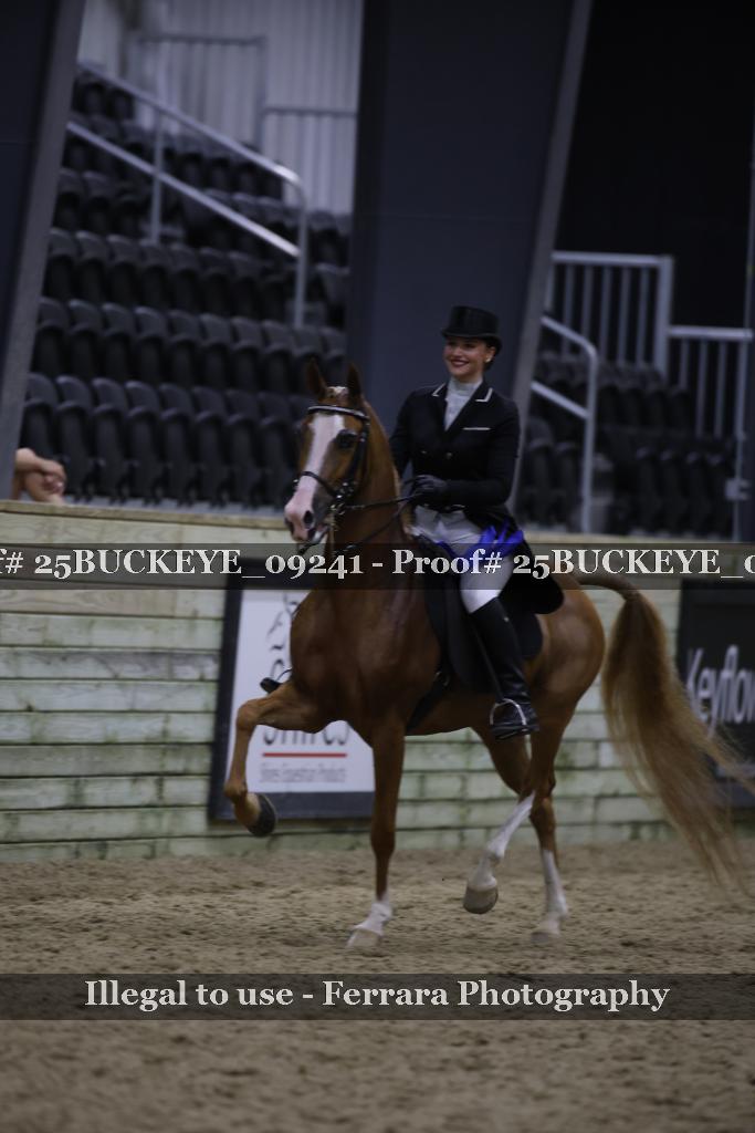 Proof 25BUCKEYE_09241