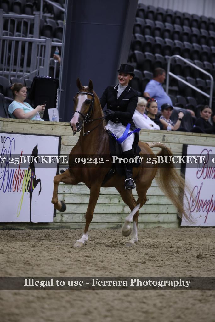 Proof 25BUCKEYE_09242