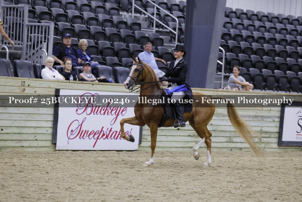 Proof 25BUCKEYE_09246
