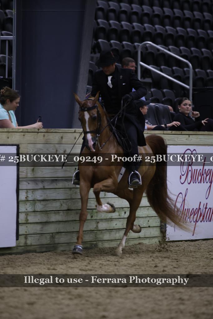 Proof 25BUCKEYE_09249