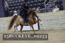 25BUCKEYE_09253 proof