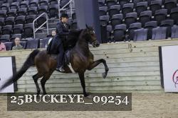 25BUCKEYE_09254 proof