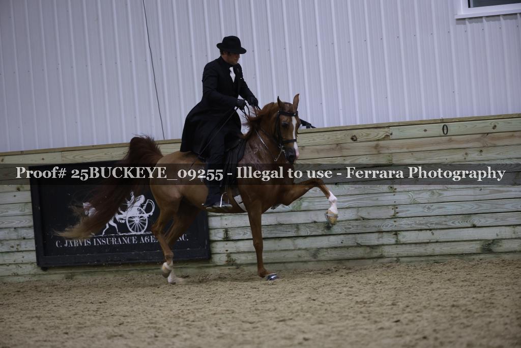Proof 25BUCKEYE_09255