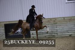 25BUCKEYE_09255 proof