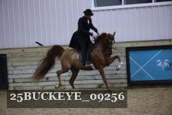 25BUCKEYE_09256 proof