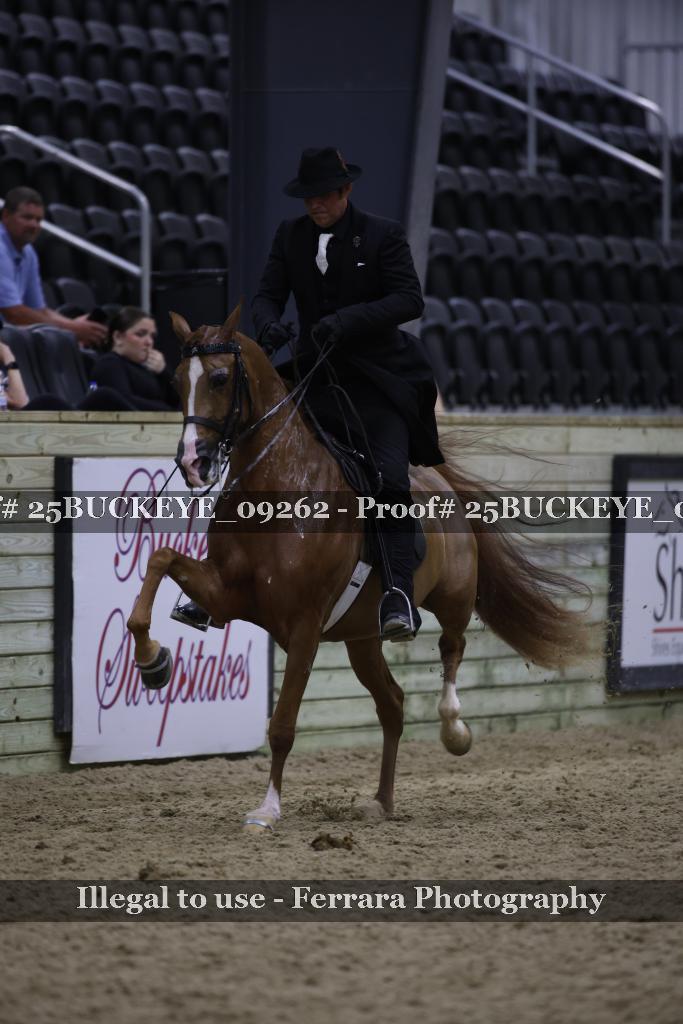 Proof 25BUCKEYE_09262