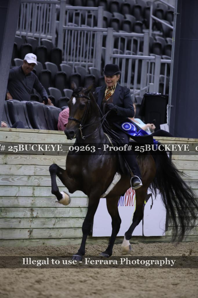 Proof 25BUCKEYE_09263