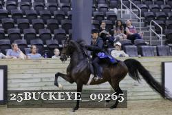25BUCKEYE_09265 proof