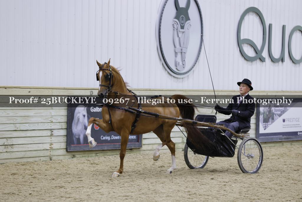 Proof 25BUCKEYE_09267