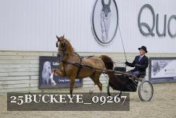 25BUCKEYE_09267 proof