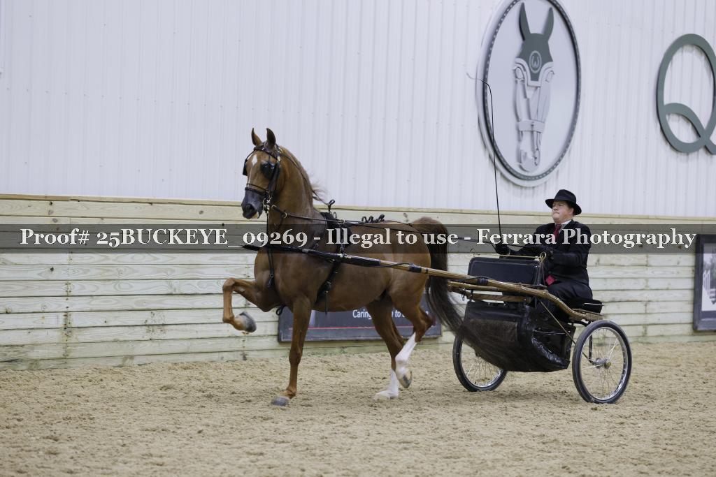 Proof 25BUCKEYE_09269