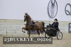 25BUCKEYE_09269 proof