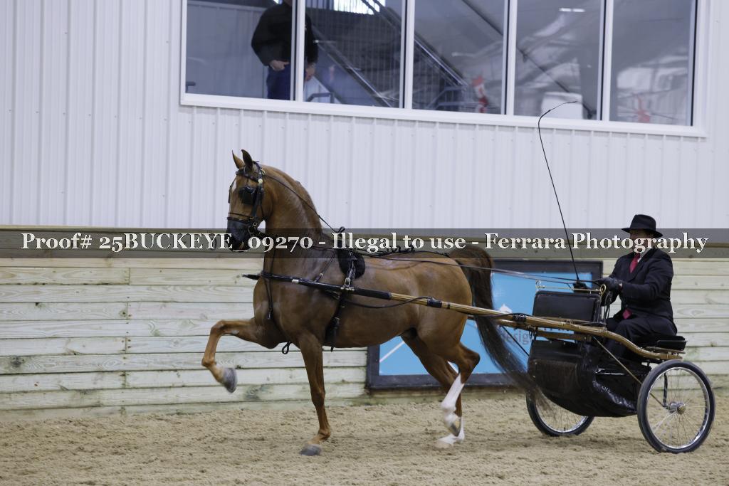 Proof 25BUCKEYE_09270