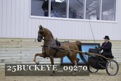 25BUCKEYE_09270 proof