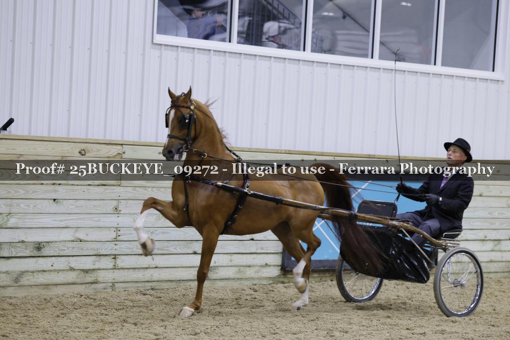 Proof 25BUCKEYE_09272