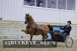 25BUCKEYE_09272 proof