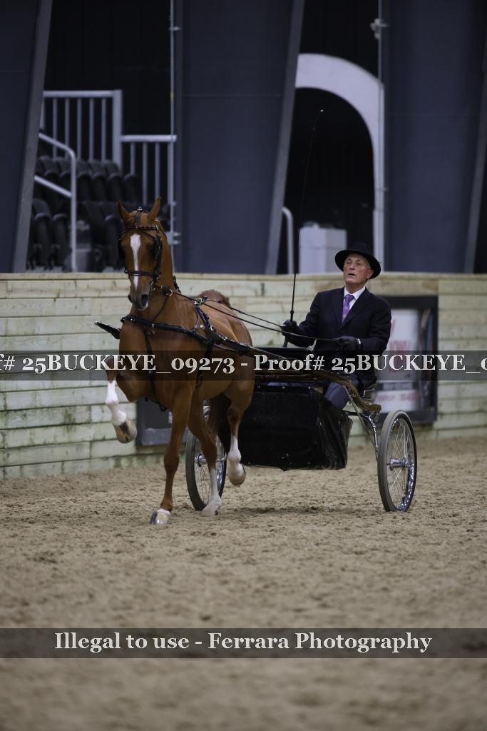 Proof 25BUCKEYE_09273