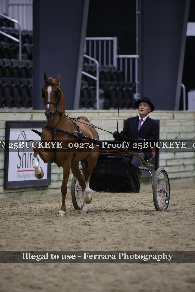 Proof 25BUCKEYE_09274