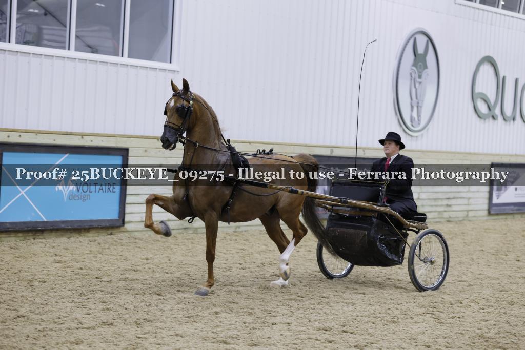 Proof 25BUCKEYE_09275