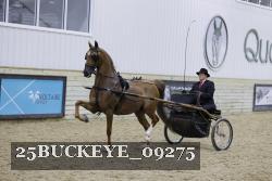 25BUCKEYE_09275 proof