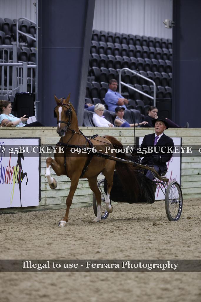 Proof 25BUCKEYE_09276
