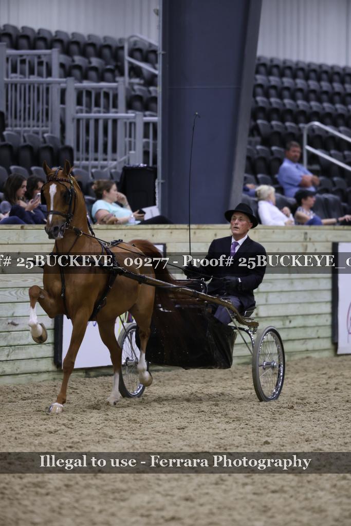 Proof 25BUCKEYE_09277