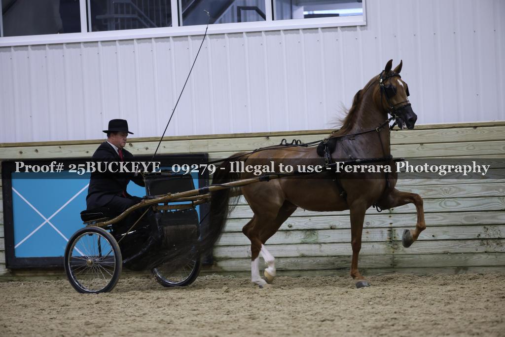 Proof 25BUCKEYE_09279