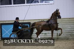 25BUCKEYE_09279 proof