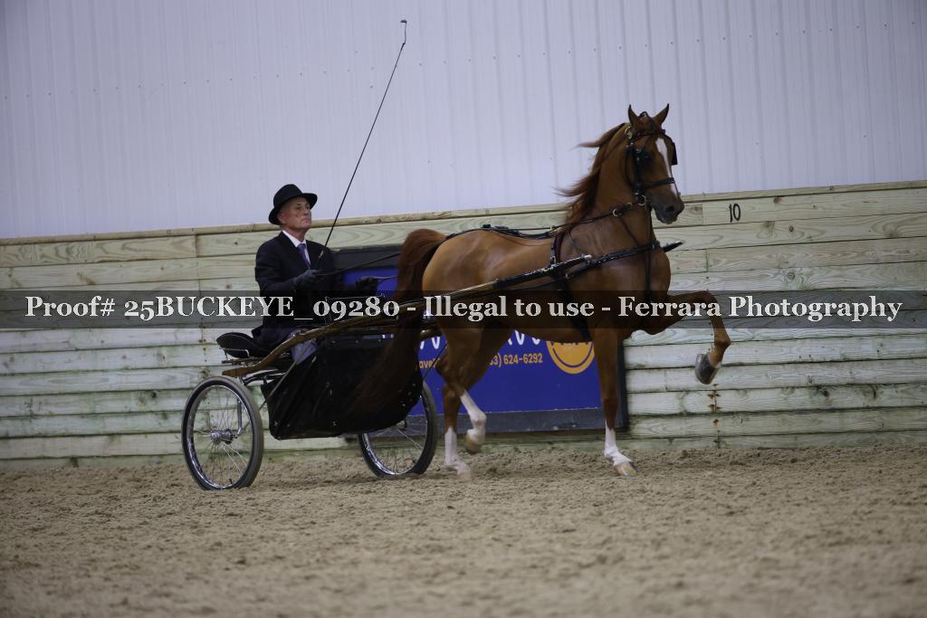 Proof 25BUCKEYE_09280